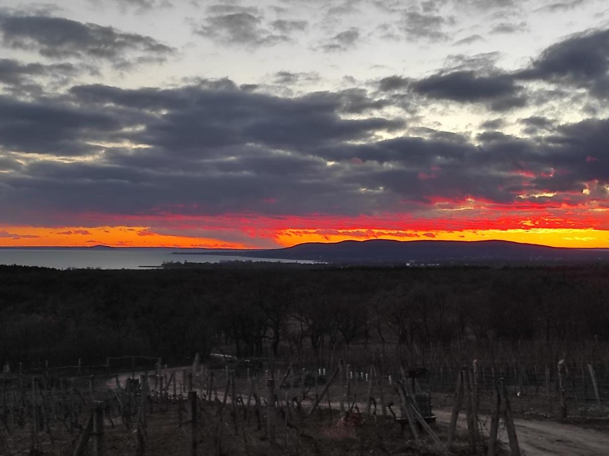 Napraszallas Vendeghaz Balatonakali Exteriér fotografie
