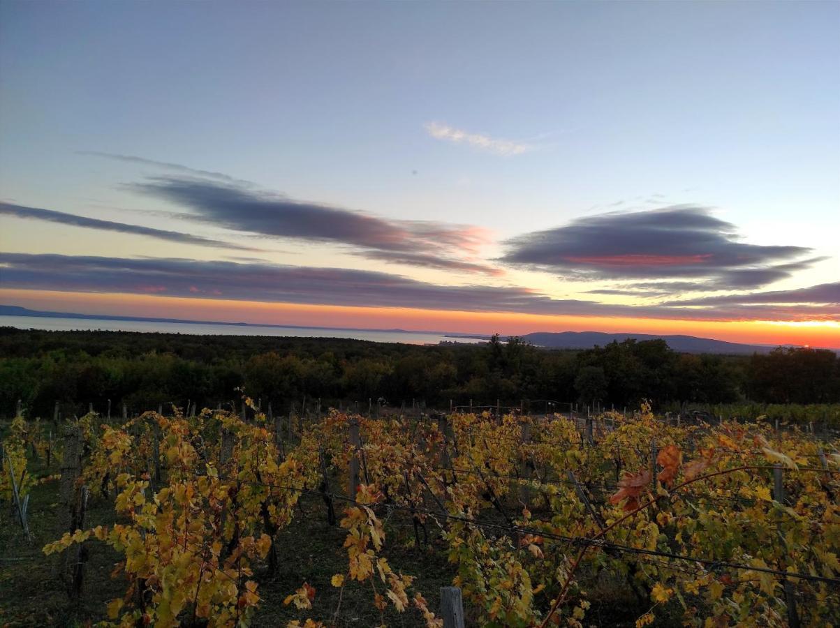 Napraszallas Vendeghaz Balatonakali Exteriér fotografie