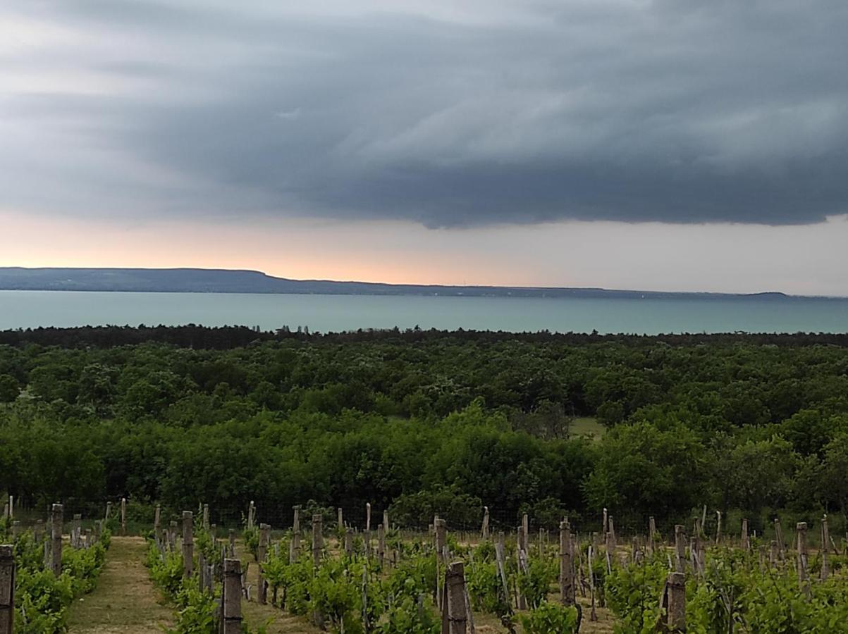 Napraszallas Vendeghaz Balatonakali Exteriér fotografie