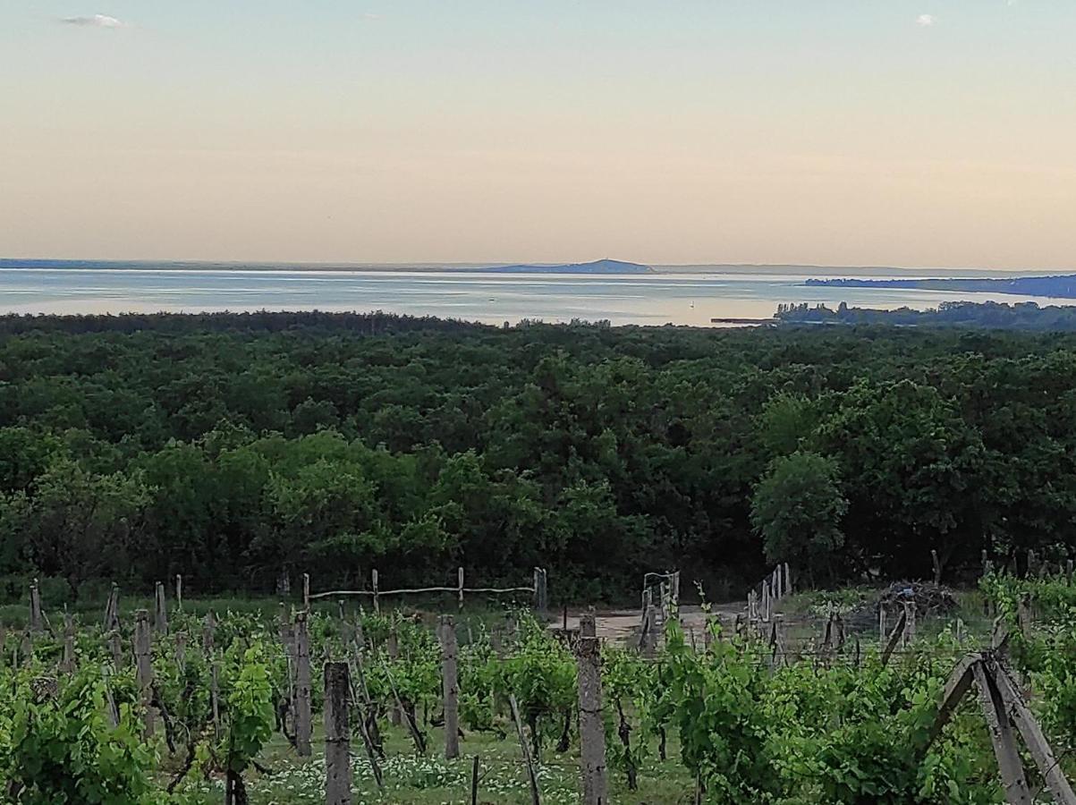 Napraszallas Vendeghaz Balatonakali Exteriér fotografie