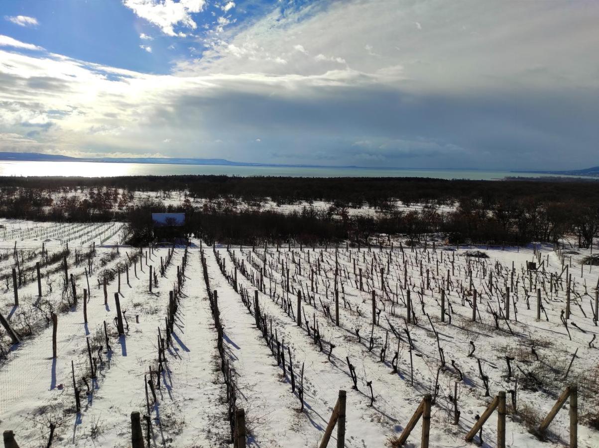 Napraszallas Vendeghaz Balatonakali Exteriér fotografie