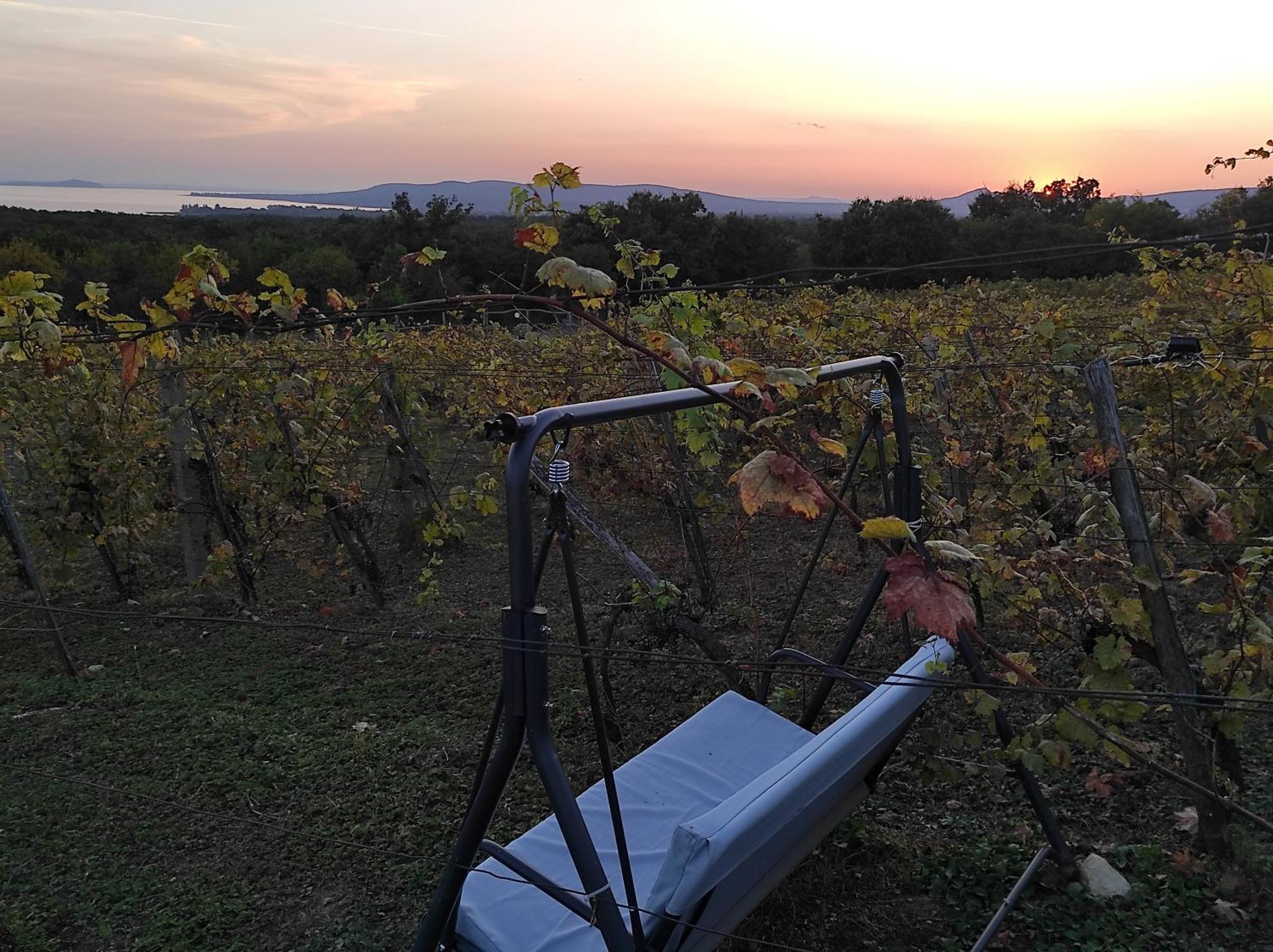 Napraszallas Vendeghaz Balatonakali Exteriér fotografie