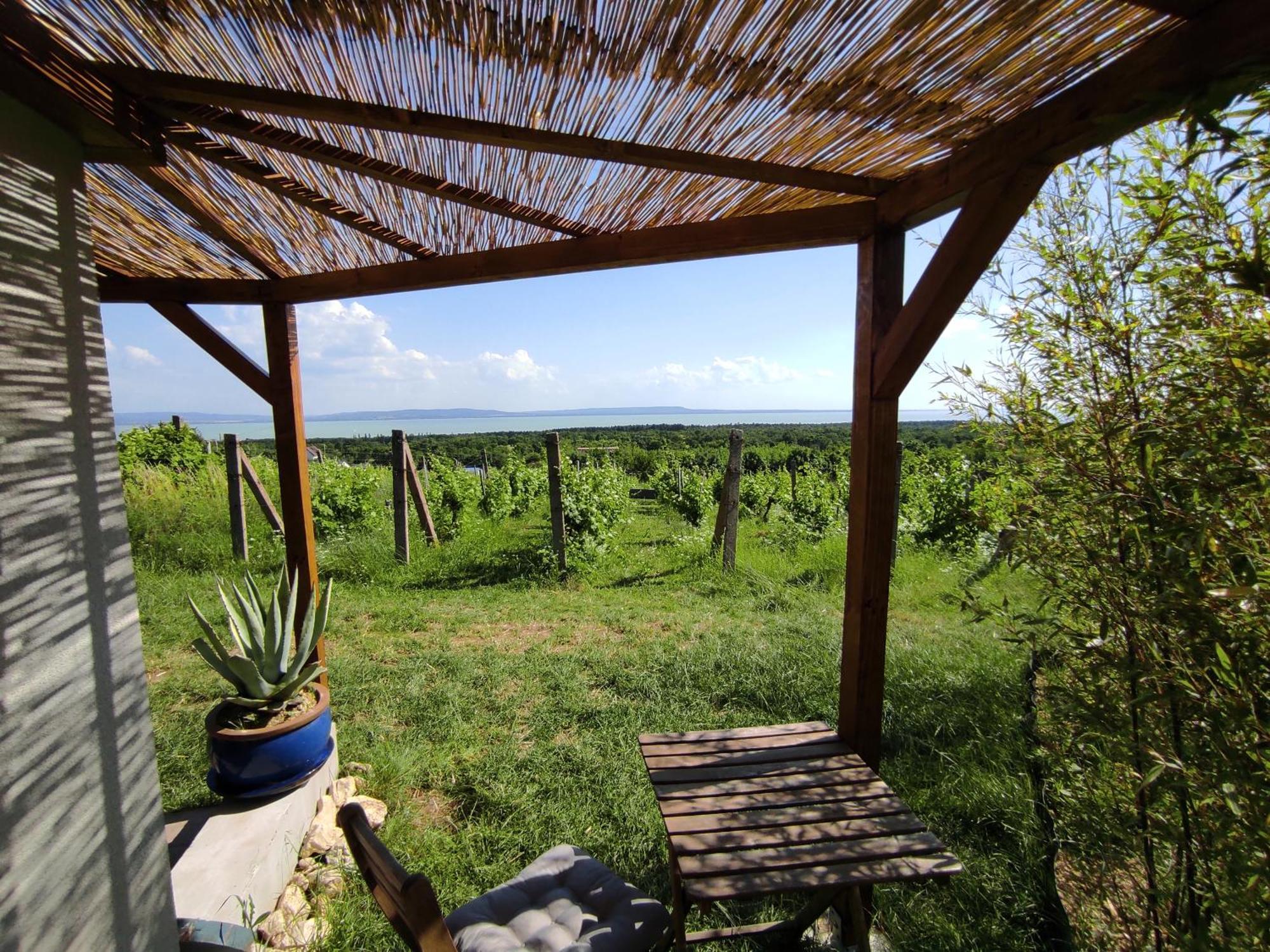 Napraszallas Vendeghaz Balatonakali Exteriér fotografie